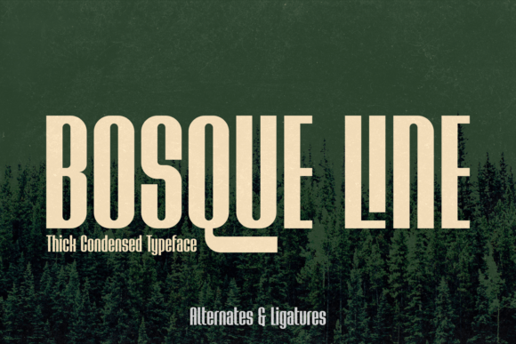 Choosing Bosque Line for a Modern, Urban Web Design